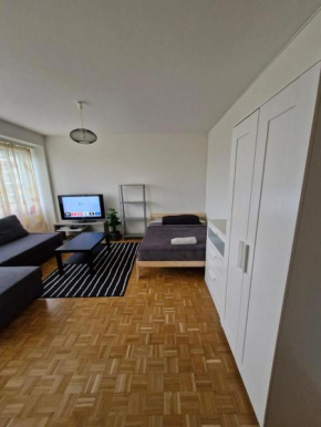 Cozy studio near UN Geneva